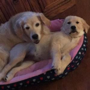 Meet your Posher, Tracy